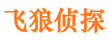 梅里斯市侦探调查公司